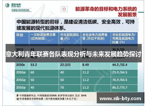 意大利青年联赛各队表现分析与未来发展趋势探讨