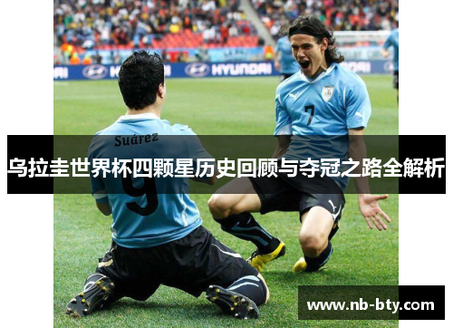 乌拉圭世界杯四颗星历史回顾与夺冠之路全解析