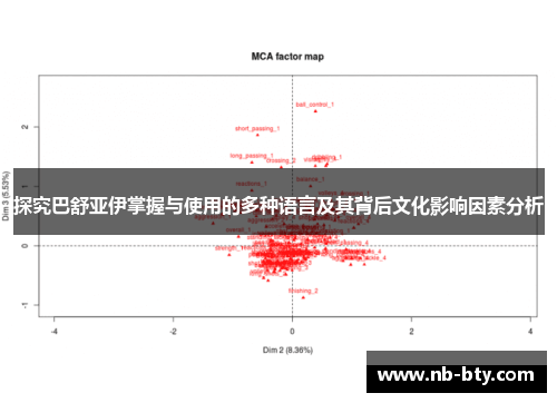 探究巴舒亚伊掌握与使用的多种语言及其背后文化影响因素分析
